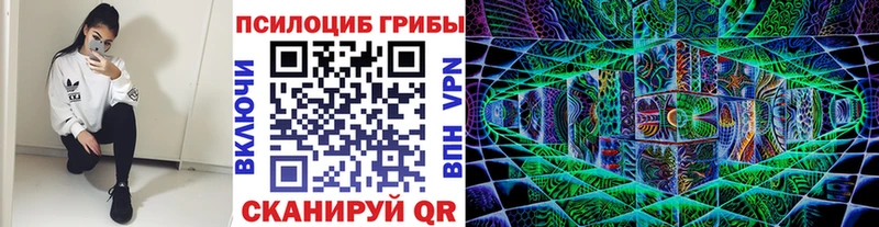 Галлюциногенные грибы MAGIC MUSHROOMS  Купить  Нижний Новгород 