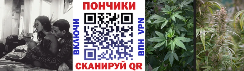 Бошки марихуана Bruce Banner  Купить где  Нижний Новгород 